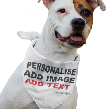 Gifts for Pets